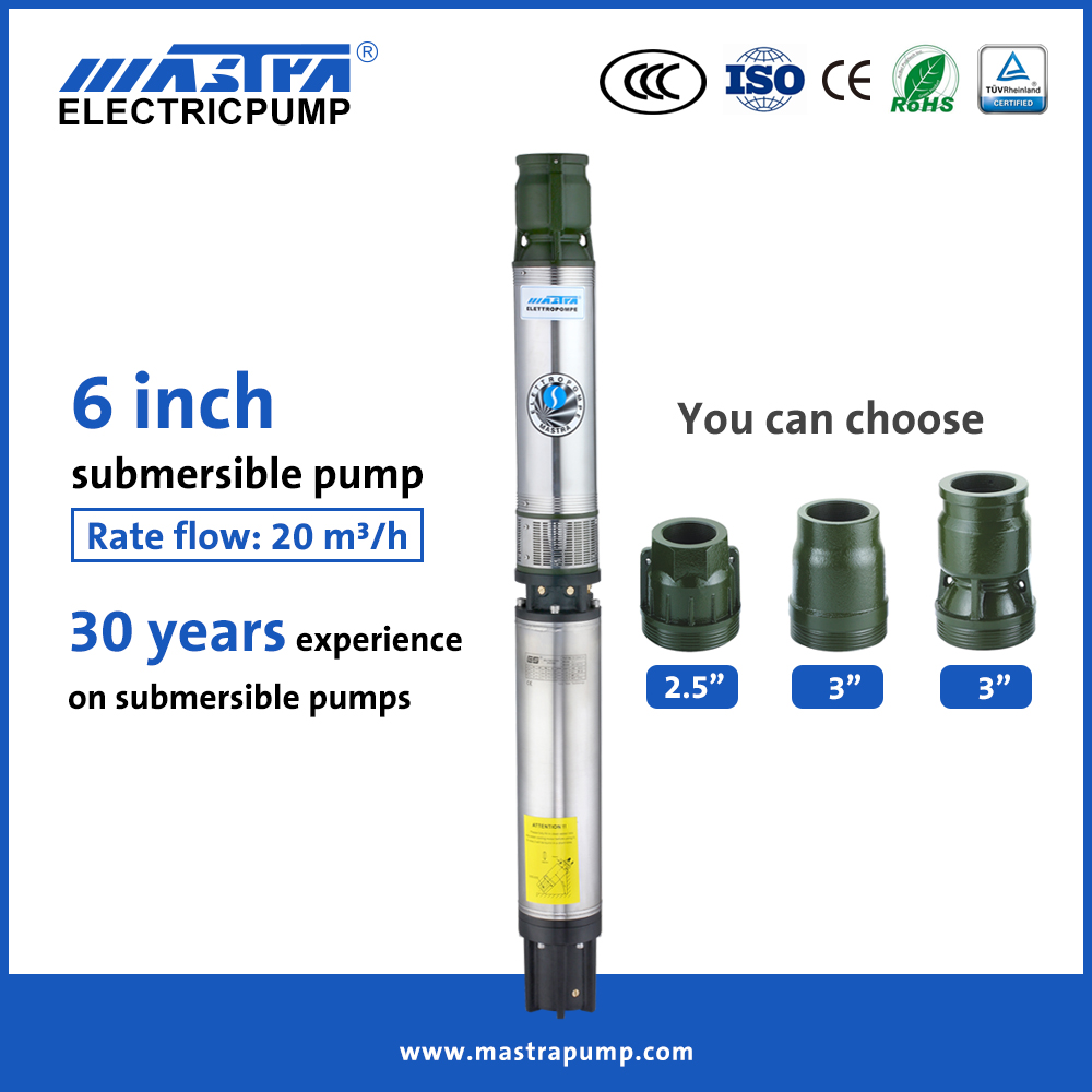 Pompe à eau submersible Mastra 6 pouces en acier inoxydable R150-DS pompe de fontaine à puits profond submersible
