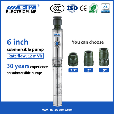 Pompe à eau submersible Mastra 6 pouces pour puits profond R150-BS pompe à eau pour puits profond à vendre