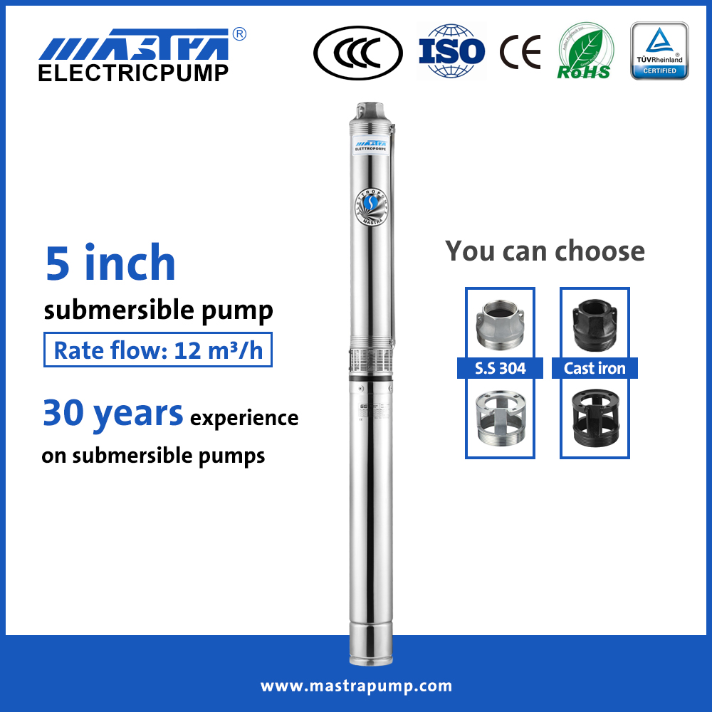 MASTRA 5 pouces Chine Fabricant de pompes submersible R125 Irrigation Water Pumps Fabricants