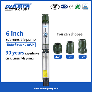 MASTRA 6 pouces de profondeur de puits de forage submersible Pompe R150-GS Pompe submersible Lorentz