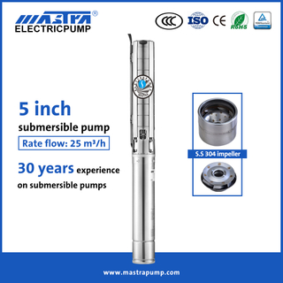 Pompe à eau submersible en acier inoxydable Mastra 5 pouces Pompe à puits profond 5SP Pompe Mastra